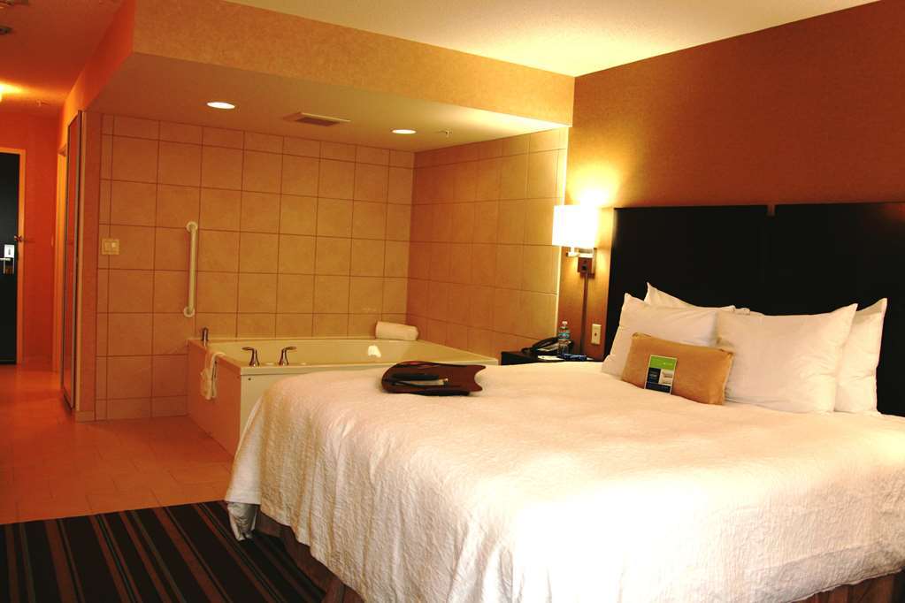 Hampton Inn And Suites Flint/Grand Blanc Quarto foto
